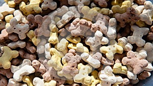 Nutritional crackers for dogs close-up