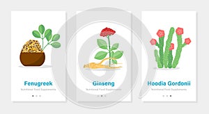 Nutritional food supplements vertical banners. Isolated vector onboarding templates with herbal illustrations