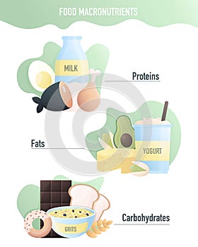 Nutritional macronutrients. Fat, carbohydrate and protein food groups. Nutrient infographic. Food ingredient