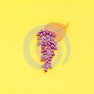 Nutritional supplement Grape seed extract pills