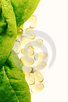 Nutritional supplements and healthy diet concept. Capsules with fish fat near green leaves isolated on white background