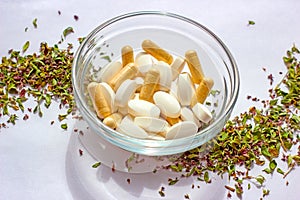 Nutritional supplements pills in a bowl on dried herbs background. Alternative herbal medicine, naturopathy and homeopathy