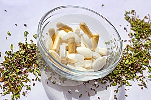 Nutritional supplements pills in a bowl on dried herbs background. Alternative herbal medicine, naturopathy and homeopathy