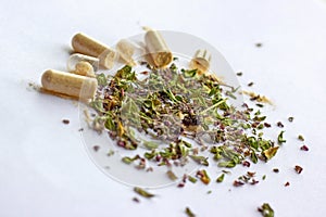 Nutritional supplements pills and capsules on dried herbs background. Alternative herbal medicine, naturopathy and homeopathy