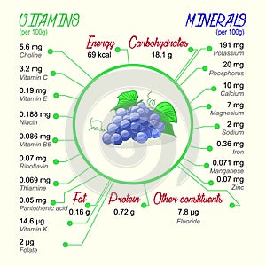 Nutritional value of grapes