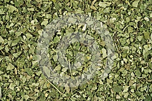 Nutritious healthy dried raw moringa leaves