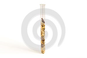 Nutritious, healthy muesli in a glass test tube