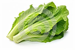 Nutritious Lettuce leaves cabbage. Generate Ai