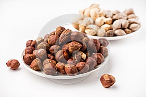 Nutritious nuts, hazelnuts on a white background
