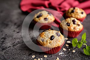 Nutritious oatmeal muffins with cranberries