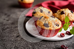 Nutritious oatmeal muffins with cranberries