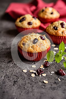 Nutritious oatmeal muffins with cranberries