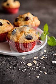 Nutritious oatmeal muffins with cranberries