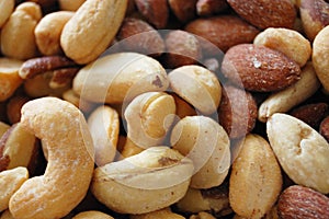 The nuts photo