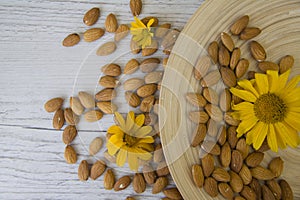 Nuts almonds with sunflowers