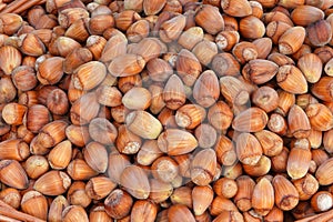 Nuts background. Hazelnuts bunch.