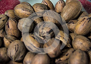 Nuts closeup.Abstract texture. photo