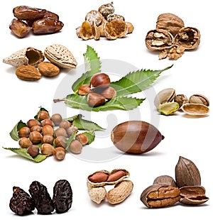 Nuts collection.