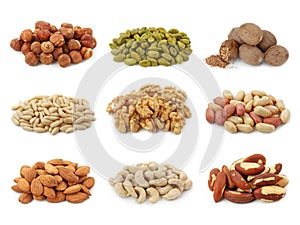 Nuts collection