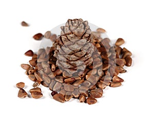 Nuts and Cone of Siberian Pine