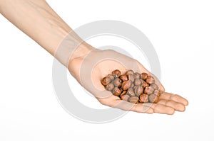 Nuts and cooking theme: man's hand holding a peeled hazelnuts isolated on a white background in studio