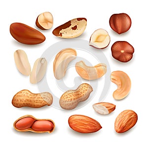 Nuts Delicious Natural Bio Nutrition Set Vector