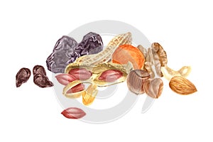 Nuts and dried fruits watercolor border