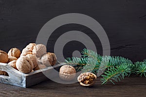 Nuts and fir