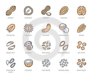 Nuts flat line icons set. Peanut, almond, chestnut, macadamia, cashew, pistachio, pine seeds, nutmeg vector