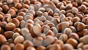 Nuts focus on wide angle. turkish hazelnuts cinematic sequence. organic dried nuts.