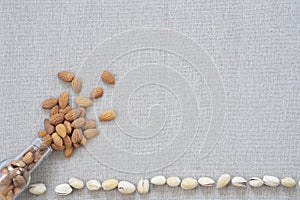 Nuts on grey canvas