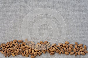 Nuts on grey canvas
