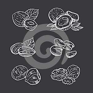 Nuts hand drawn vector set illustration