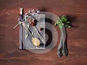 Nuts and herbs still life