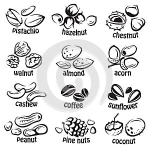 Noccioline impostato composto da icone 