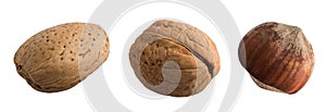 Nuts isolated on a white background. Almond, walnut and hazelnut