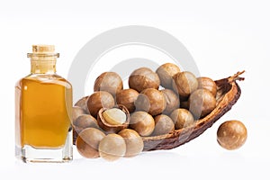 Nuts and macadamia oil - Macadamia integrifolia. White background