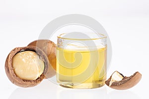 Nuts and macadamia oil - Macadamia integrifolia. White background