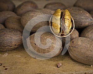 Nuts - Pecans