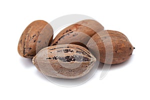 Nuts pecans in shell closeup