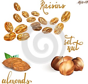 Nuts raisins background illustration retro set advertising drawing