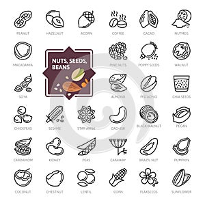 Nuts, seeds and beans elements - minimal thin line web icon set. Outline icons collection