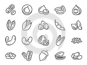 Nuts, seeds and beans icon set. Included icons as walnut, sesame, green beans, coffee, almond, pecan and more. photo