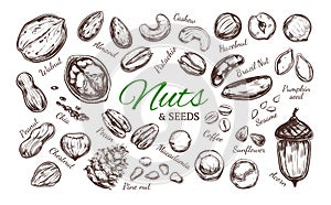 Nuts and seeds collection 1