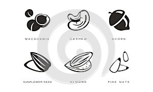 Nuts and seeds icons set, macadamia, cashew, acorn, sunflower seed, almond, pine nut monochrome vector Illustration on a