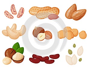 Nuts and seeds set in cartoon style. Cashew, hazelnut, almond, peanut, pistachios, macadamia, pumpkin seeds.