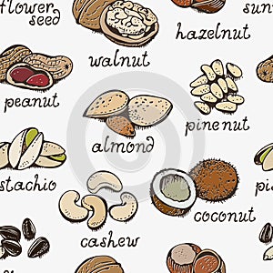 Nuts set vector seamless pattern, various nuts