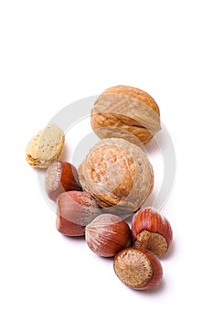 Nuts in Shell Isolated on White