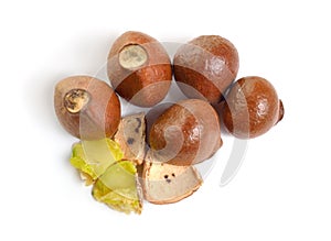 Nuts of Staphylea, or bladdernut. Isolated on white backgroumd