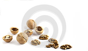 Nuts with walnut shell and kernel with copy space on white background
